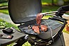 ���� �� ���� - WEBER Q3200 - ��� ����