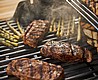 ���� �� ���� - WEBER E210