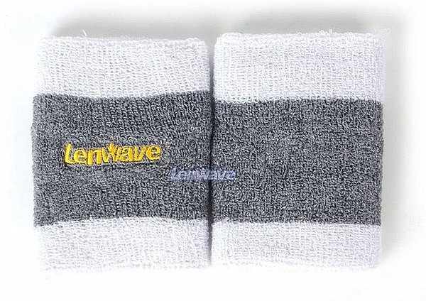�� 2 ���� ���� ������ LENWAVE