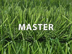 דשא סינטטי MASTER גובה 27 ממ רוחב 2 מטר 3 גוונים דשא סינטטי MASTER גובה 27 ממ רוחב 2 מטר 3 גוונים