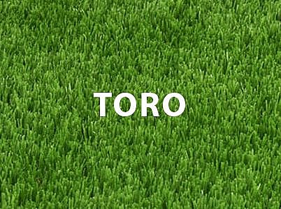 ��� ������ TORO ����  42 �� ���� 2 ��� 4 ������