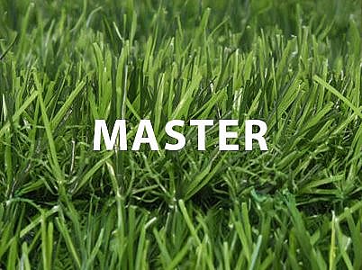 ��� ������ MASTER ���� 27 �� ���� 3 ��� 3 ������