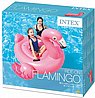 ���� �� ������ 57558 INTEX