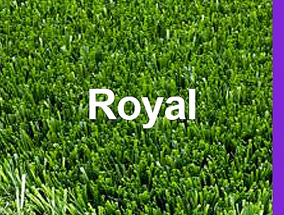 ���� ��� ������ Royal ���� 26 �"� ���� �-50 �"�