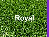 ���� ��� ������ Royal ���� 28 �