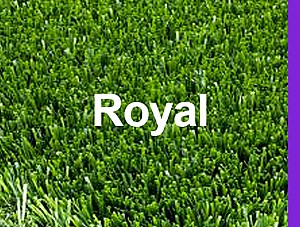 גליל דשא סינטטי Royal גובה 28 מ"מ מחיר ל-100 מ"ר גליל דשא סינטטי Royal גובה 28 מ"מ מחיר ל-100 מ"ר