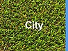 ��� ������ City ���� 40 �