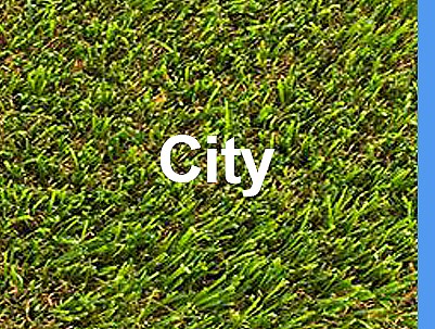 ���� ��� ������ City ���� 40 �"� ���� �100 �"�