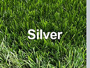 ��� ������ Silver ���� 42 �"� ���� �-1 �"�