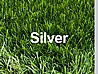 ��� ������ Silver ���� 42 �