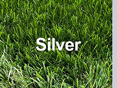 ���� ��� ������ Silver ���� 42 �"� ���� �-100 �"�