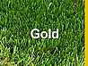 ��� ������ Gold ���� 42 �