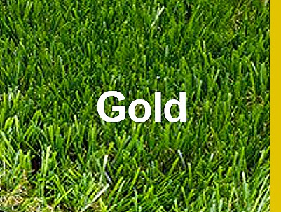 ���� ��� ������ Gold ���� 42 �"� ���� �-50 �"�