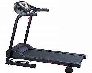 ����� ���� YORK AUSTIN