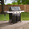 ���� �� ���� �'���� - WEBER GENESIS E-315
