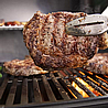 ���� �� ���� �'���� - WEBER GENESIS E-315
