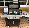 ���� �� ���� �'���� + ���� �� - WEBER GENESIS EPX-335