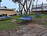 ����� ���� ��� School