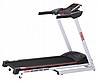 ����� ���� YORK SILVER PRO